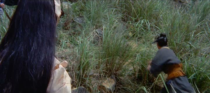 (1971) Swordsman At Large