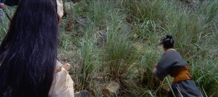 (1971) Swordsman At Large