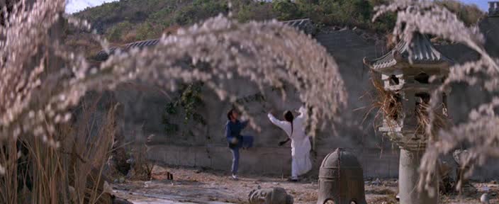 (1984) New Tales of the Flying Fox